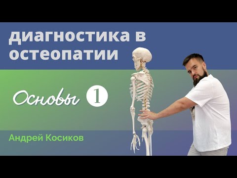 Видео: Остеопатия. Основы диагностики - 1. Техники выслушивания. Андрей Косиков