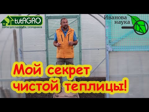 Видео: ЧТО ДЕЛАТЬ В ТЕПЛИЦЕ ПОСЛЕ УБОРКИ УРОЖАЯ: мойка, дезинфекция, обеззараживание и сидерация по шагам.