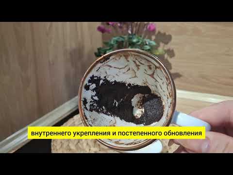 Видео: Рыбы  кофейная чашка на сентябрь Два человека, крылья и новые события #гадание #знаки #гаданиенакофе