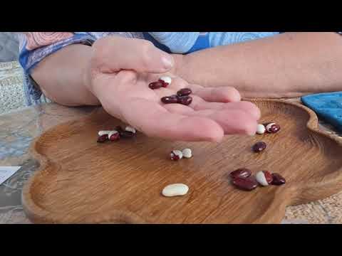 Видео: [ГАДАНИЕ НА БОБАХ] Что Вас ждёт в ноябре