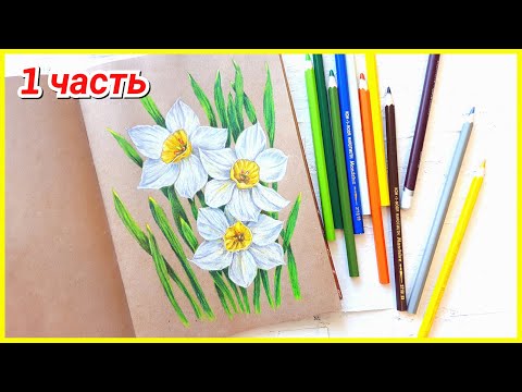 Видео: Нарцисс: раскрашиваем цветными карандашами! 1 часть!