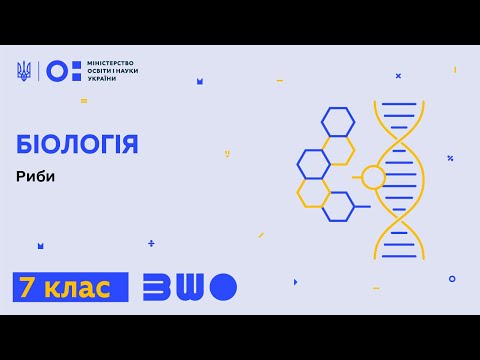 Видео: 7 клас. Біологія. Риби