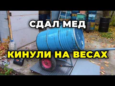 Видео: Как дурят пчеловода при сдаче меда - правда о которой молчат! Обман на весах , бочках и прочее.