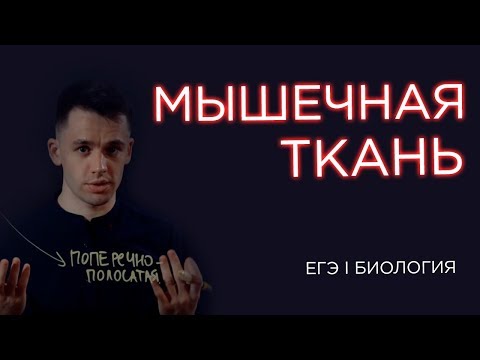 Видео: Что такое мышечная ткань I ЕГЭ Биология | Даниил Дарвин