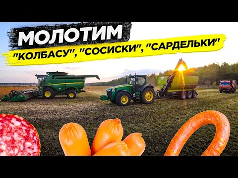 Видео: СМЕНИЛИ ПОДБАРАБАНЬЕ И НАЧАЛИ УБОРКУ РАННЕЙ СОИ В ДВА КОМБАЙНА JOHN DEERE.