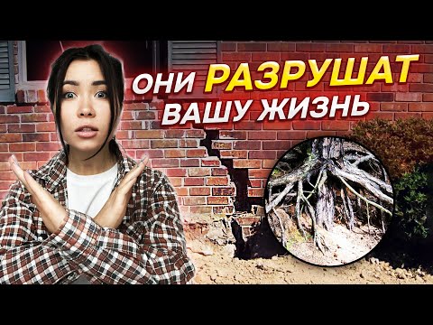 Видео: 🌳⚡15 деревьев которые КАТЕГОРИЧЕСКИ нельзя сажать рядом с домом (6 соток)