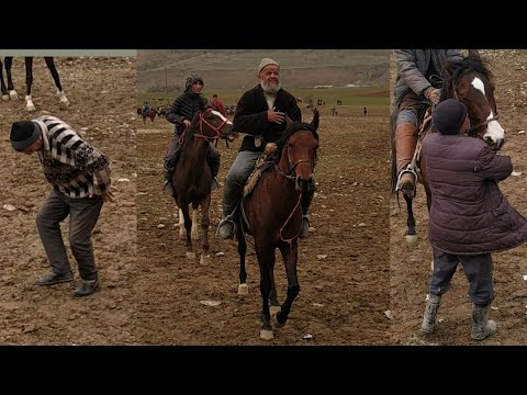 Видео: Ана ракси девонаги бади буз кашак н Муминобод