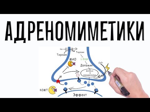 Видео: Адренергические агонисты. Фармакология простым языком.