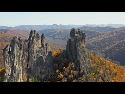 Видео: Парк драконов. Приморский край, с.Чистоводное