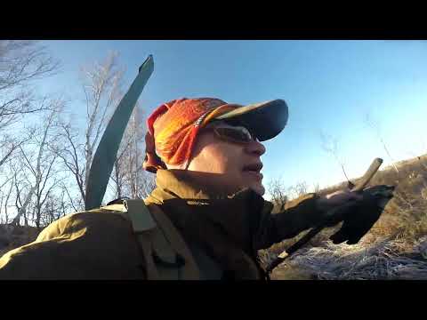 Видео: Октябрь 2020. Не очень результативная рыбалка, много разговоров.