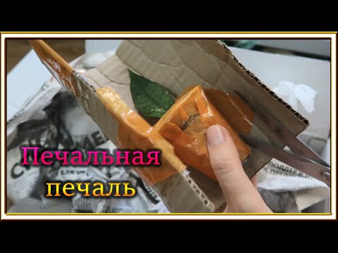 Видео: Неудачная посылка /Распаковка хойи