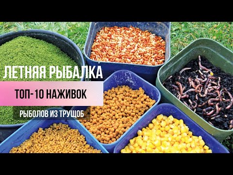 Видео: ТОП-10 насадок, на которые вы обязательно поймаете рыбу летом!