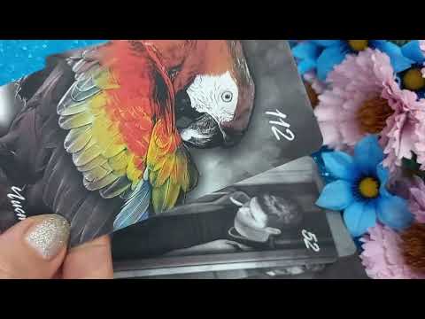 Видео: 🔥💯🔥ПРАВДА ЖИЗНИ‼️ 🔥💯%О ЧЕМ ГОВОРЯТ ❤️🕊ДУХИ РОДА❓️