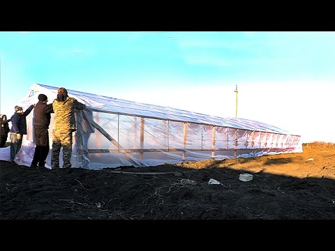 Видео: Накрыли теплицу для рассады АРБУЗА 🍉🍉  2022 👈