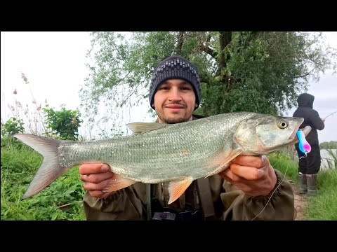 Видео: Попали на роздачу ЖЕРЕХА. Такого ми не очікували. ЖОР ЖЕРЕХА. Риболовля 2025