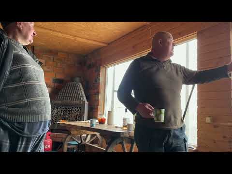 Видео: Преданность лайки.