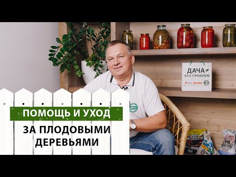 Видео: Помогаем ПЛОДОВЫМ ДЕРЕВЬЯМ осенью. Актуальные ПРОБЛЕМЫ в саду и огороде