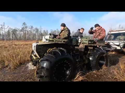 Видео: За клюквой на Ниженское болото.