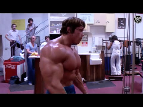 Видео: Я устроен по-другому — добьюсь каждой цели — мотивация Арнольда Шварценеггера