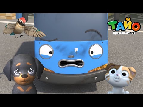 Видео: 🚕Популярные эпизоды Тайо🚌 l #5 Играйте с друзьями-животными🦜🐾 l Приключения Тайо