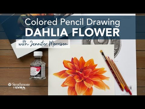 Видео: Урок по рисованию георгина цветными карандашами