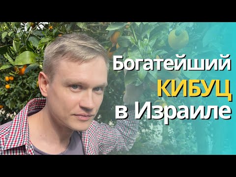 Видео: КИБУЦ  БЕЭРИ - ЖИЗНЬ НА ГРАНИЦЕ С ГАЗОЙ