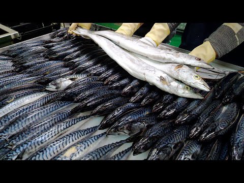 Видео: Вкусно! Рыба на гриле, рыба на пару, сашими и сырой краб с приправами! | Корейская кухня