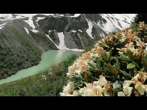 Видео: Поход на озеро Донгуз-Орун Кёль, КБР. 28.08.2022г.