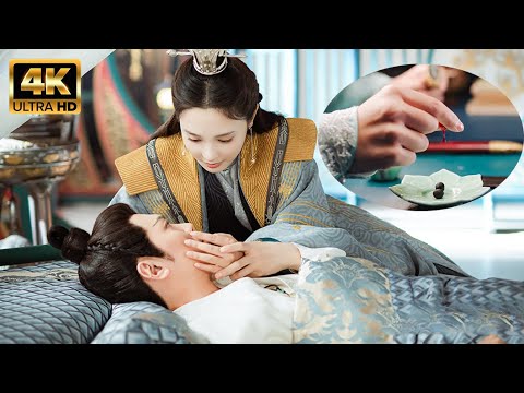 Видео: Умирающий император спасён рабыней, ставшей фавориткой!