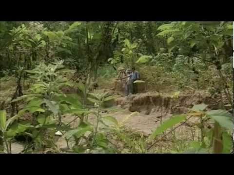 Видео: Извержение вулкана 1815 года - год без лета, Тамбора, Йеллоустоун