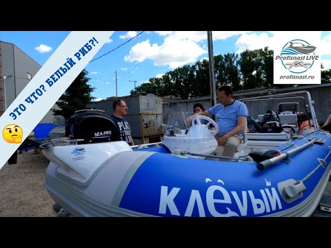 Видео: Клёвый РИБ RiverBoats 430 с Tohatsu MFS 30EPS