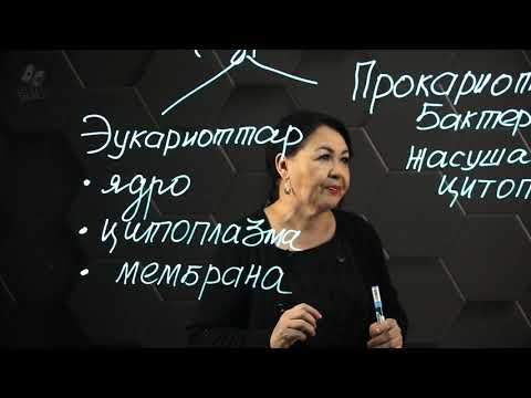 Видео: Прокариот және эукариот жасушаларының құрылысы. 8 сынып.