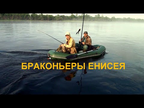 Видео: Запрет на Енисее а браконьеров полно.