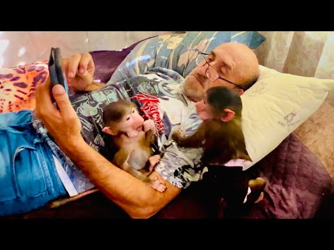 Видео: СМЕХ! Я захожу в спальню и вижу-Степа, Маня и Влад втихоря смотрят ‘’УРАЛЬСКИЕ ПЕЛЬМЕНИ’’!