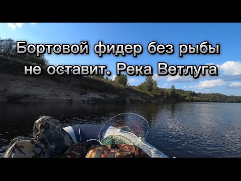 Видео: Бортовой фидер. Густера,подлещики,сопа. Река Ветлуга. Рыбалка с лодки.