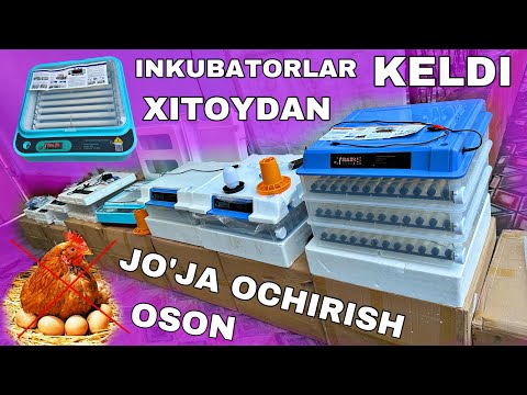 Видео: ХИТОЙДАН ЯНГИЛИК ИНКУБАТОРЛАР КЕЛДИ 2025 ☎️+998972327303 ЖЎЖА ОЧИРИШ УЧУН ИНКУБАТОР