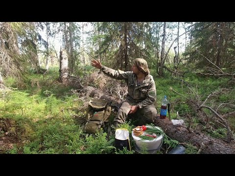Видео: СБОР ДИКИХ ЯГОД В ТАЙГЕ. ЯГОДНЫЙ СЕЗОН В КАРЕЛИИ. САМАЯ ПОЛЕЗНАЯ ЯГОДА В МИРЕ. ТАЁЖНЫЙ ПРОМЫСЕЛ
