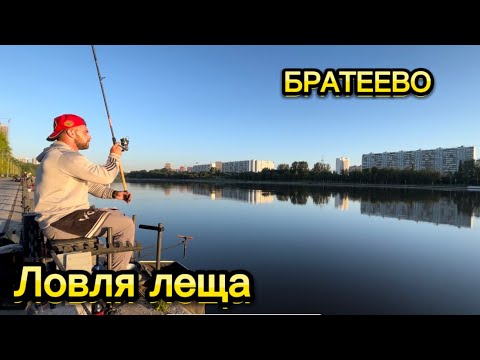 Видео: Ловля леща ночью на Москва реке . Рыбалка в Братеево #фидер #ловлялеща