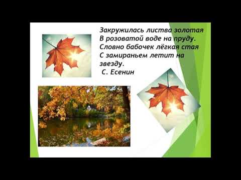Видео: Осенние листья  Литературное чтение  2 класс