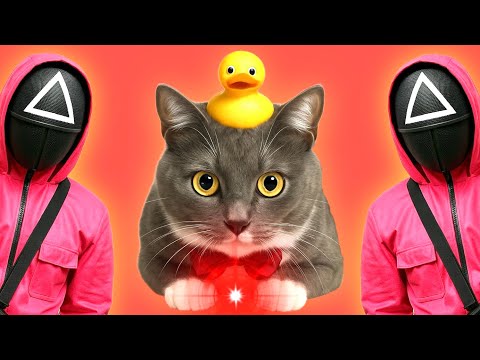 Видео: КОТИКИ В ШКОЛЕ - ИГРА В КАЛЬМАРА, НО ЭТО КРАСНАЯ ТОЧКА