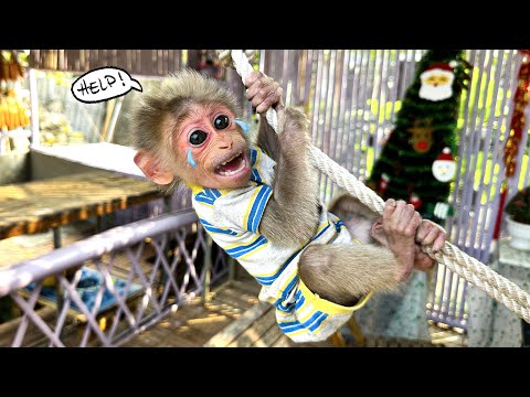 Видео: Проделки Каки: Подняться на крышу с помощью одной веревки, так опасно!