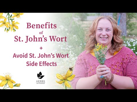 Видео: Преимущества зверобоя + Как избежать побочных эффектов зверобоя