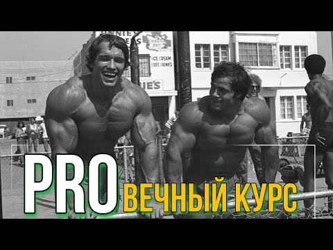 Видео: PRO ВЕЧНЫЙ КУРС