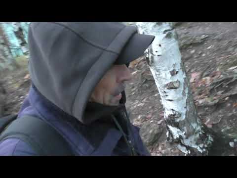 Видео: Река Охта чернеет и умирает на глазах, оставляя по берегам ядовитую отраву всем. А мы бухаем !!!