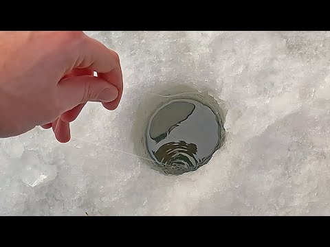 Видео: Нашёл счастливую ЛУНКУ! Окунь зимой на Зефирку и Мормошарик. Рыбалка на малой речке