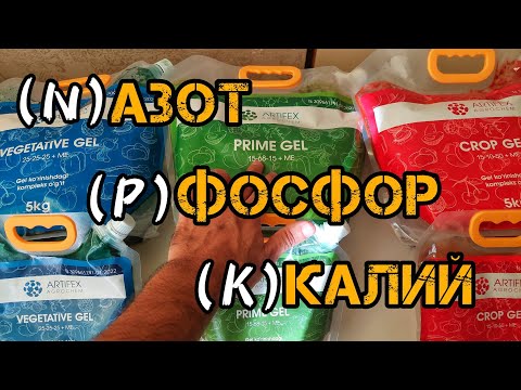 Видео: Азот, Фосфор ва Калий нима ва усимликлар учун него керак? Макроэлементлар нима? NPK нима? Artifex.