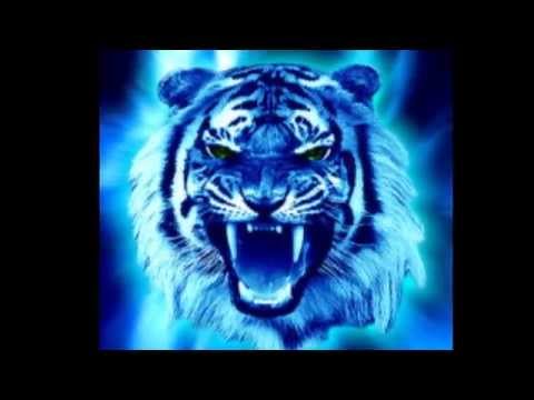 Видео: вв мвд рф