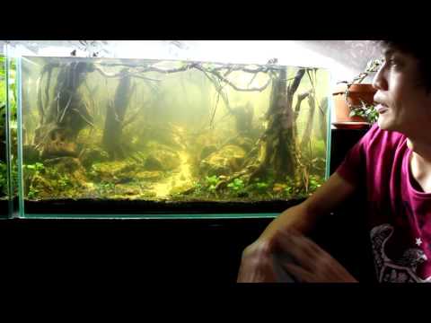 Видео: Ответы на вопросы.  часть 2.