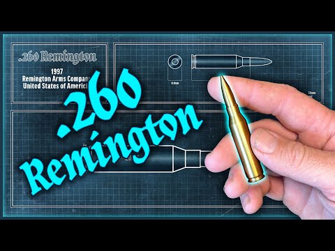 Видео: .260 Remington "Обсуждение патронов", серия 1