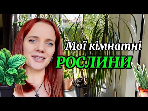 Видео: Огляд на КІМНАТНІ РОСЛИНИ🪴 | Які квіти краще новачкам  | Факапи з квітами😱